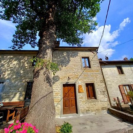 Casina La Quercia Santa Sofia Exterior foto