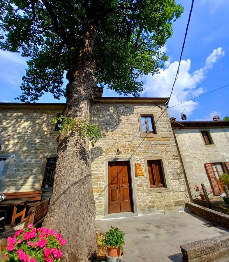 Casina La Quercia Santa Sofia Exterior foto