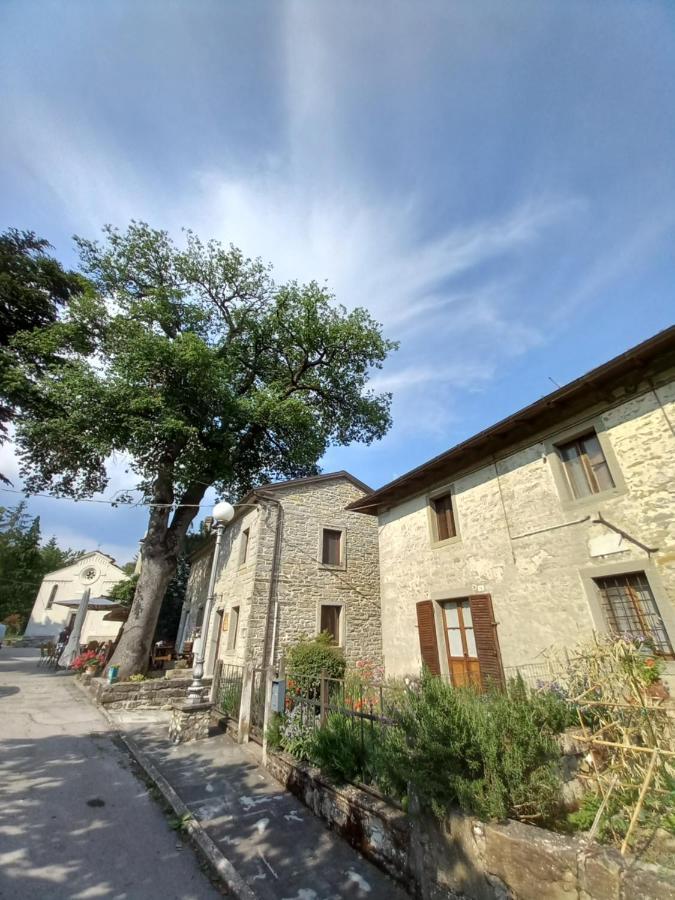 Casina La Quercia Santa Sofia Exterior foto