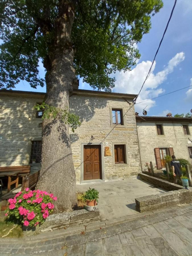 Casina La Quercia Santa Sofia Exterior foto