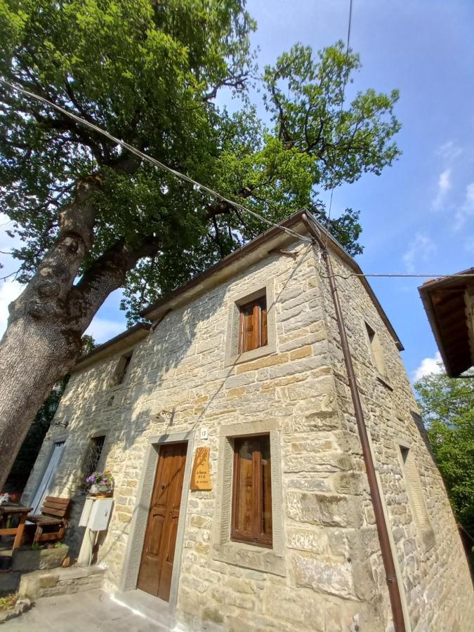 Casina La Quercia Santa Sofia Exterior foto
